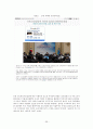 FDI 유치정책 36페이지