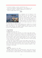 수질 오염의 원인 6페이지