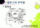 [블로그]뜨거운 감자 '블로그(blog)' 블로그 시대의 특징과 바람직한 블로그 문화의 정착 방안은 무엇인가? 33페이지