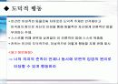 칸트의 인간중심 철학의 이해 13페이지