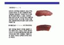 스시[すし]에 대한 이해  18페이지
