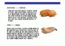스시[すし]에 대한 이해  23페이지