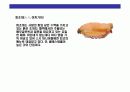 스시[すし]에 대한 이해  24페이지
