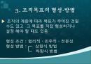 조직의 목표와 효과성 파워포인트  4페이지