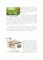 [행동심리학] 스키너의 이론 핵심 정리  13페이지