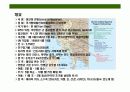 미얀마(버마)에 대한 이해와 시장 진출 전략 3페이지