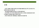 미얀마(버마)에 대한 이해와 시장 진출 전략 29페이지