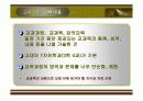 교육과정의 개념PPT 4페이지
