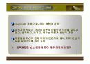 교육과정의 개념PPT 9페이지