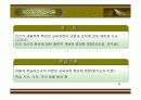 교육과정의 개념PPT 20페이지