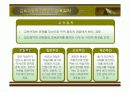 교육과정의 개념PPT 21페이지