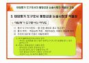 대입의 평가도구로서 논술시험의 적절성에 대한 연구 11페이지