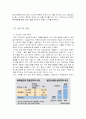 포스코 글로벌 기업 분석 25페이지