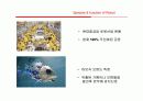 미래 로봇의 종류와 기능 5페이지