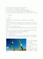 배구레포트 39페이지