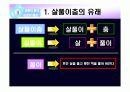 전통무용 살풀이춤의 형성과 발달과정 8페이지