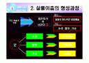전통무용 살풀이춤의 형성과 발달과정 10페이지