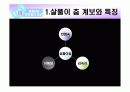 전통무용 살풀이춤의 형성과 발달과정 15페이지