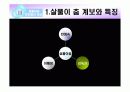 전통무용 살풀이춤의 형성과 발달과정 19페이지