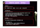 전통무용 살풀이춤의 형성과 발달과정 34페이지
