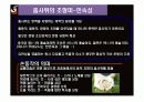 전통무용 살풀이춤의 형성과 발달과정 36페이지