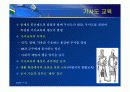 서양 중세 교육 (크리스트교의 교육과 세속적 교육) 15페이지