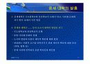 서양 중세 교육 (크리스트교의 교육과 세속적 교육) 17페이지