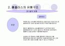 홈플러스의 유통구조와 성공요인 분석 11페이지