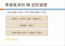사회인지-대인지각 5페이지