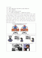 뇌 실험을 통한 분할 이론과 개념 분석 7페이지