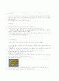 『배숙』 보고서 4페이지
