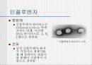 성홍열, 인플루엔자, 디프테리아 PPT 5페이지