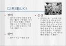 성홍열, 인플루엔자, 디프테리아 PPT 10페이지