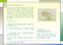 소스의 모든 것 PPT(50가지 소스종류를 파워포인트 하나에) 10페이지