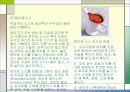 소스의 모든 것 PPT(50가지 소스종류를 파워포인트 하나에) 14페이지