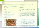 소스의 모든 것 PPT(50가지 소스종류를 파워포인트 하나에) 19페이지