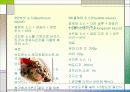 소스의 모든 것 PPT(50가지 소스종류를 파워포인트 하나에) 20페이지