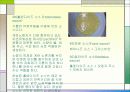소스의 모든 것 PPT(50가지 소스종류를 파워포인트 하나에) 23페이지