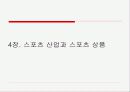 [파워포인트]스포츠경제학의 전반적인 요약 ppt 20페이지