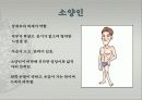 사상체질의 체형에 따른 분류 4페이지