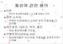 동성애의 사회적 시각에 설문조사 분석 및 견해 5페이지
