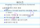동성애의 사회적 시각에 설문조사 분석 및 견해 23페이지