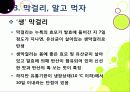 [막걸리]막걸리의 특징과 다양한 효과 및 우수성, 국내외 막걸리 열풍 현황과 배경 원인 분석을 통한 막걸리의 세계화 23페이지