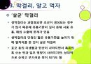 [막걸리]막걸리의 특징과 다양한 효과 및 우수성, 국내외 막걸리 열풍 현황과 배경 원인 분석을 통한 막걸리의 세계화 24페이지