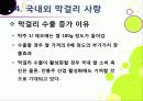 [막걸리]막걸리의 특징과 다양한 효과 및 우수성, 국내외 막걸리 열풍 현황과 배경 원인 분석을 통한 막걸리의 세계화 39페이지