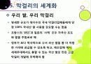 [막걸리]막걸리의 특징과 다양한 효과 및 우수성, 국내외 막걸리 열풍 현황과 배경 원인 분석을 통한 막걸리의 세계화 45페이지