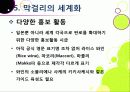 [막걸리]막걸리의 특징과 다양한 효과 및 우수성, 국내외 막걸리 열풍 현황과 배경 원인 분석을 통한 막걸리의 세계화 46페이지