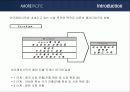 아모레퍼시픽의 프랑스시장 진출 성공사례 분석 6페이지