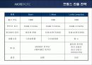 아모레퍼시픽의 프랑스시장 진출 성공사례 분석 13페이지