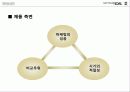 닌텐도 국제 마케팅 전략과 원리  34페이지